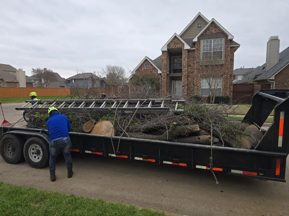 Expert Tree Removal with proper safety equipment in Nunica